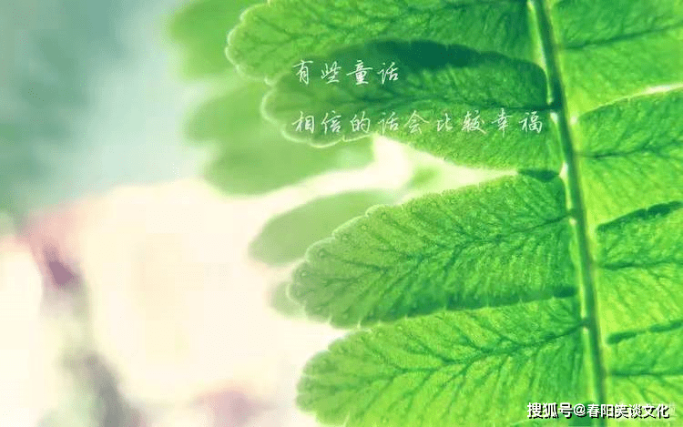 {娛樂城}(晚上必看的正能量免费软件下载)